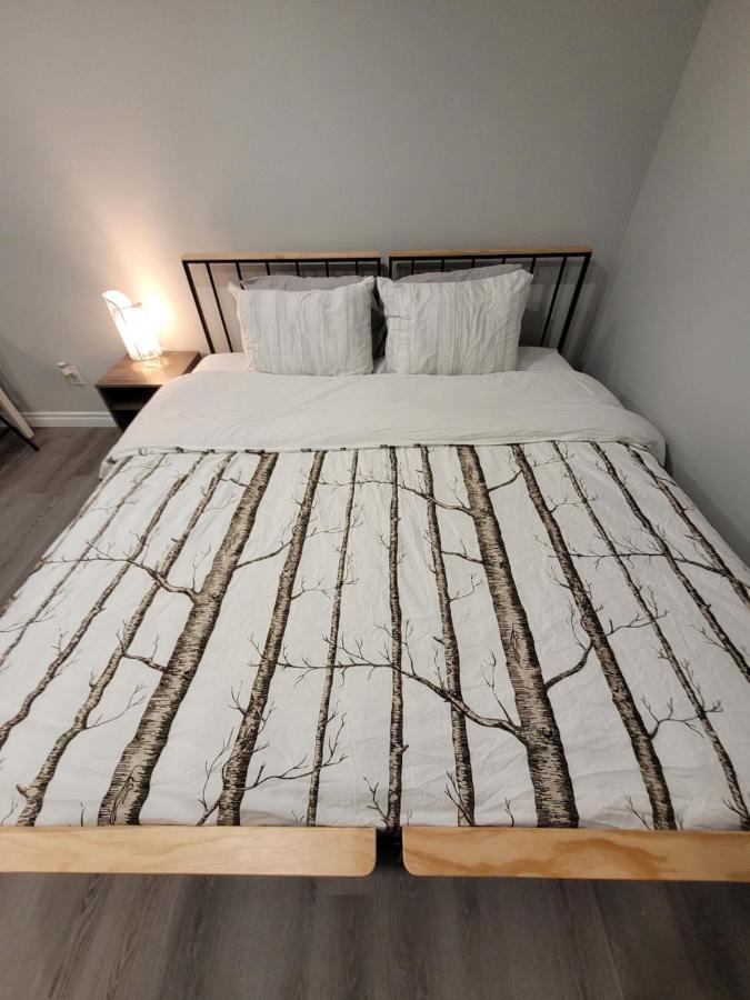 Guest House Basement - Master Bedrooms In Bayview Village Toronto Exteriér fotografie